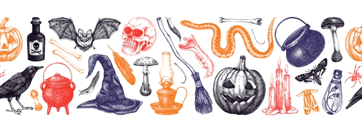 Halloween seamless pattern. Hand-drawn vector illustration. Skull, bones, pumpkin, poison, snakes, broom, witch hat, mushrooms sketches. Autumn border. Repeating background design